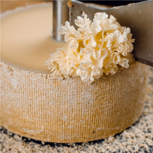 Tete De Moine Cheese